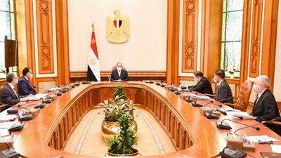 السيسي يستقبل مدير عام «روس أتوم».. ويتابع الموقف التنفيذي لـ«الضبعة»