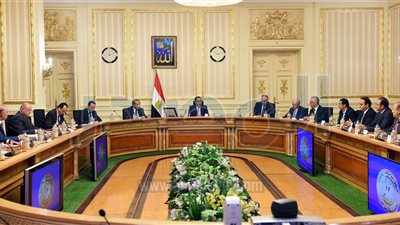 رئيس الوزراء يوجه باستغلال أراضى الشركات الحكومية لإقامة أسواق تجارية بالمحافظات