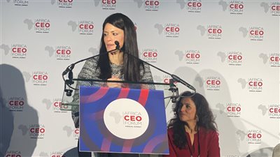 المشاط: البنية التحتية الخضراء محركًا رئيسيًا لتحقيق التنمية المستدامة