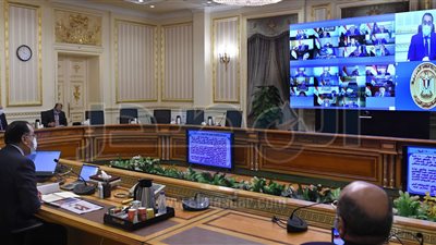 الحكومة توافق لـ«السلع التموينية» على تأسيس شركة مساهمة للشحن والتجارة