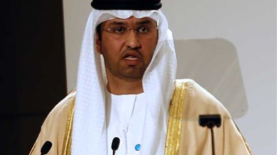 وزير الدولة الإماراتى: الشعب المصري يؤكد قدرته على تحدي الصعاب