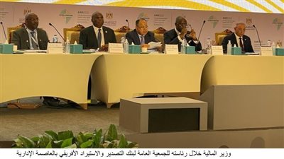 وزير المالية يدعو شركاء التنمية الدوليين لتعزيز التعاون مع أفريقيا 