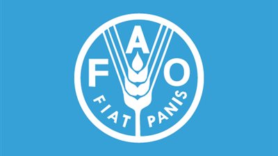 الفاو