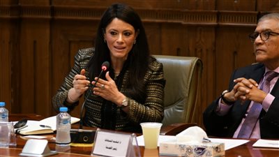 «المشاط» أمام «الشيوخ»: التمويلات التنموية لا تتخطى 15% من الدين الخارجي