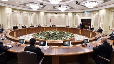 السيسى يبحث التعاون بين الشركات والحكومة لتحويل المركبات للعمل بالغاز