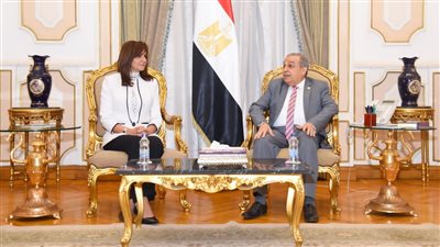 الإعلان عن بدء إنشاء «المركز المصري – الياباني للتدريب والتأهيل»