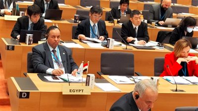 غتوري: مصر تدعم التحول إلى «الجمارك الخضراء» بالتزامن مع استضافة قمة المناخ 