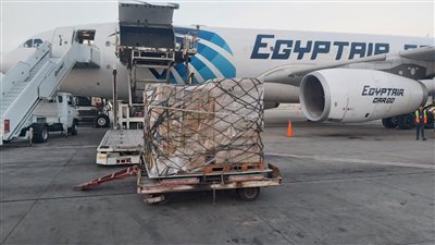 مصر للطيران تنقل 50 طن مواد غذائية لأهالي أسوان بالتنسيق مع «حياة كريمة»