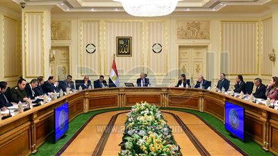 تفاصيل اجتماع اللجنة الوزارية لتسوية عقود الاستثمار (صور)