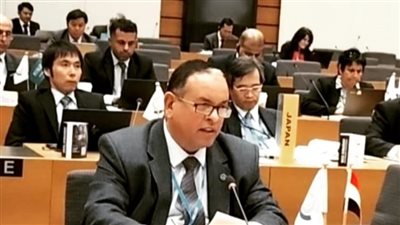 رئيس مصلحة الجمارك يؤكد أهمية تضافر الجهود لمجابهة أزمة «الحدود الهشة»