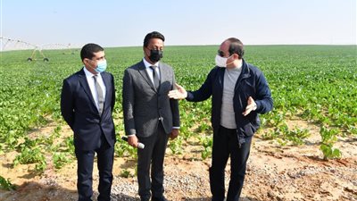 السيسى يتفقد مشروع مستقبل مصر للإنتاج الزراعي على مساحة 500 ألف فدان