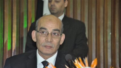 مصر تعود لعضوية المجلس الدولي للزيتون خلال أيام