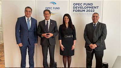 «المشاط» تعرض حزمة من مشروعات التحول الأخضر أمام مؤسسات التمويل الدولية