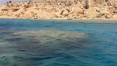 كاتب سعودي يطالب مصر برد 33 مليار دولار مقابل مكاسبها من 