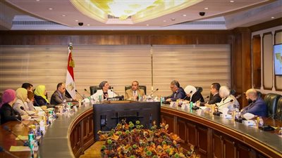 وزيرا الطيران المدني والبيئة يبحثان التنسيق المشترك استعدادًا لـ «Cop 27»