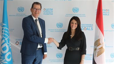 المشاط: حريصون على توسيع آفاق التعاون مع منظمة الأمم المتحدة للتنمية الصناعية
