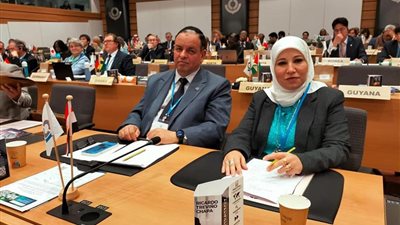 رئيس مصلحة الجمارك: نستهدف تحفيز القطاع الخاص على الاستثمار في مصر