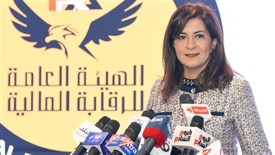 «الهجرة»: 1119 مصريًا بالخارج تقدموا لطلب التأمين في اليوم الأول للتطبيق