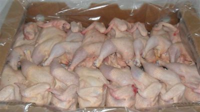 تراجع واردات مصر من الدواجن 52,2% فى 8 شهور