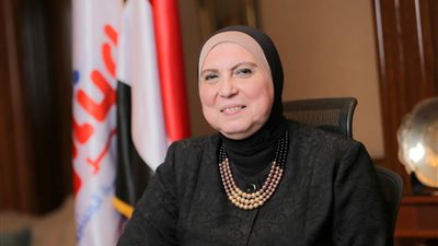 تعاون 40 جهة في إعداد لائحة قانون تنمية المشروعات الصغيرة