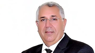 الحكومة تنفى تصدير شحنات فاسدة من البصل الأخضر المصري