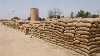 ميناء سفاجا يستقبل 63 ألف طن قمح روسي 