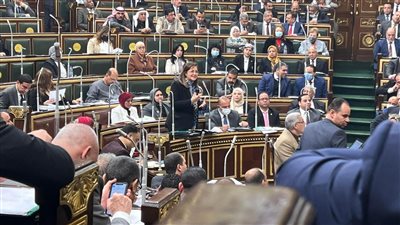 «السعيد» أمام «النواب»: مشروع قانون التخطيط يترجم الاستحقاقات الدستورية