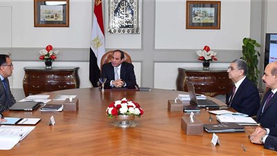 السيسى يوجه بالتوسع في مشروعات الطاقة الجديدة والمتجددة