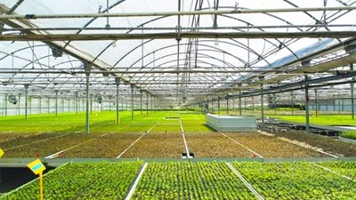 إجراء القرعة العلنية لأراضي المرحلة الأولى بمشروع الـ1,5مليون فدان اليوم