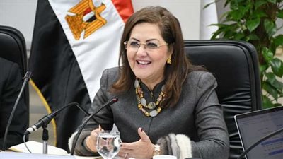 «التخطيط»: 2.4 مليار جنيه لتنفيذ 191 مشروعًا تنمويًا بالوادي الجديد