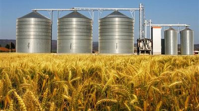 «التموين»: إنشاء صومعة قمح بمدينة طيبة في الأقصر بسعة 30 ألف طن