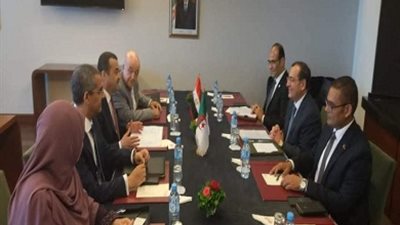 مباحثات مصرية جزائرية لتعزيز الشراكة في مجال الطاقة والمناجم