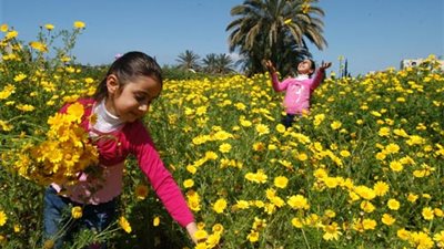 الأرصاد: فصل الربيع يبدأ غدا.. وارتفاع تدريجي في درجات الحرارة