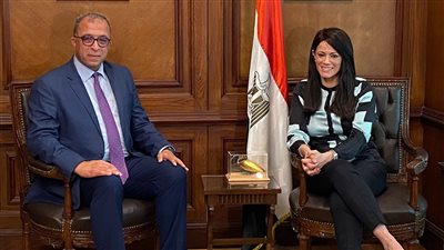 «المشاط» تبحث مع رئيس معهد التخطيط القومي مجالات التعاون المشترك