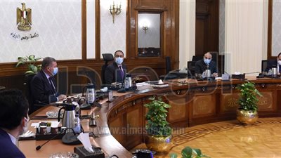 «مدبولي» يبحث التعاون مع شركة «سكاتيك» النرويجية للطاقة المتجددة