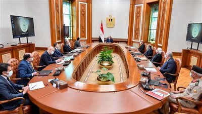 الرئيس السيسي يتابع مستجدات تطوير بحيرة المنزلة والمناطق المحيطة بها