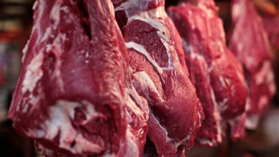 ضخ كميات كبيرة من اللحوم بمنافذ «الزراعة» استعدادا لعيد الأضحى