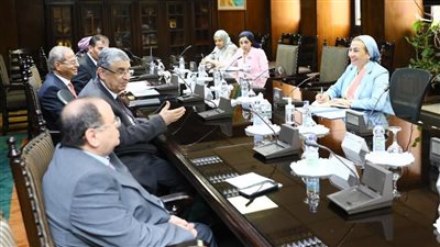 مجموعة عمل من وزارتي «الكهرباء» و«البيئة» لتصميم «يوم الطاقة» بـ COP 27