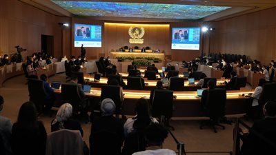 بحضور «السيسي».. محاكاة مجلس حقوق الإنسان الدولي التابع للأمم المتحدة