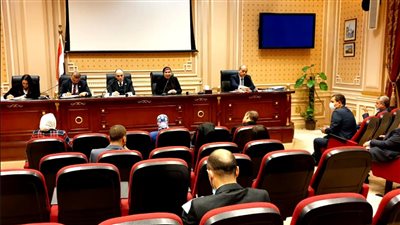 نيفين جامع: 403 مستثمرين تقدموا لتخصيص 650 وحدة صناعية