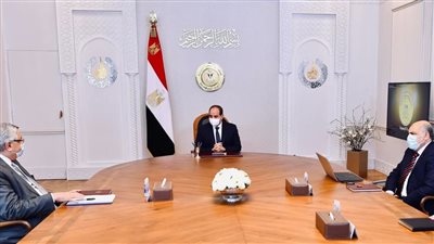 السيسي يوجه بالتوسع في المراكز المعتمدة لتشخيص الأورام في مصر 