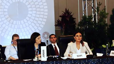  وزيرة الاستثمار تدعو البنك الدولى إلى دعم التكنولوجيا المبتكرة فى الدول العربية