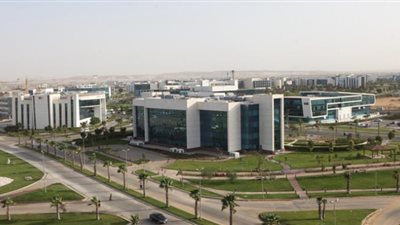 الثلاثاء.. مؤسسات الأعمال بمصر تبحث التعاون الاقتصادي مع دول النافتا