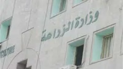 «الزراعة»: تعليق مزاد بيع 10 آلاف فدان بسيناء استجابة لمطالب الأهالى