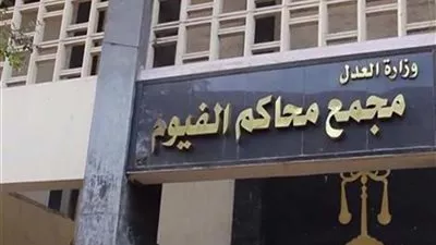 المؤبد لـ 28 إخوانيا والمشدد 3 سنوات لـ 15 آخرين