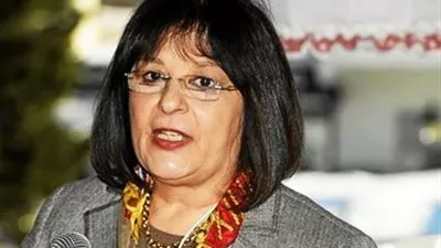 «البيئة» تلزم مصانع السويس بتركيب فلاتر لتقليل الانبعاثات السامة للفحم