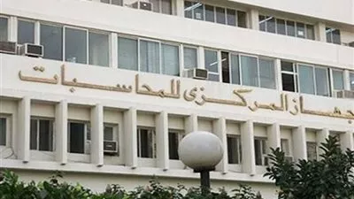 «الإحصاء»:2. 15 % ارتفاعاً فى عدد مستخدمى الإنترنت 2012-2013