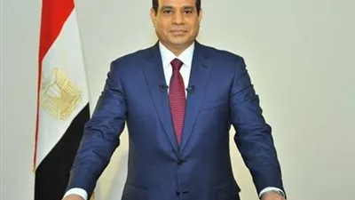 السيسي: قرار رفع الدعم جاء متأخرًا وهناك من يستغل رفع الأسعار