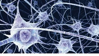 اليابان: علماء يتراجعون عن إعلان اكتشاف ثوري بالخلايا الجذعية