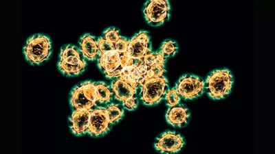 الكشف عن فيروس غامض يسبب العقم للنساء